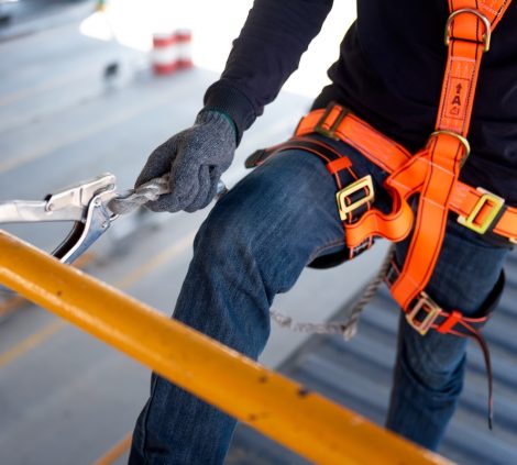 Safety harness